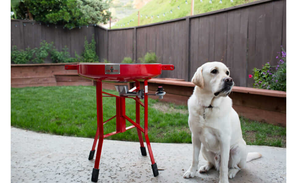Backyard Cooking Portable Propane Cookers Firedisc Cookers