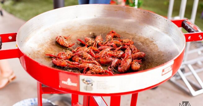 Must-Know Propane Cooker Safety Tips for Outdoor Grilling